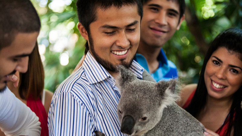 Kaplan-Brisbane-Estudantes-Coala